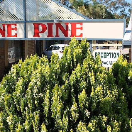 Lone Pine Motel Corowa Esterno foto