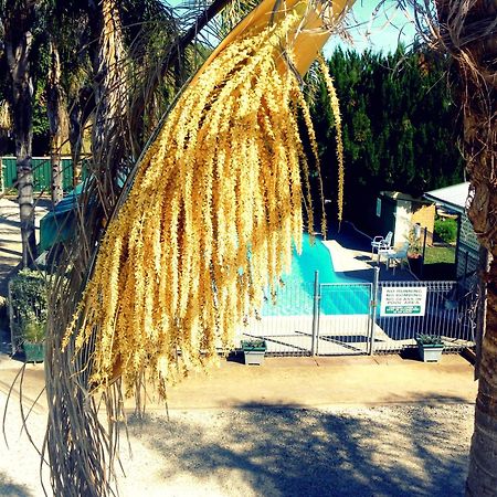 Lone Pine Motel Corowa Esterno foto