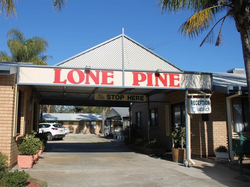 Lone Pine Motel Corowa Esterno foto