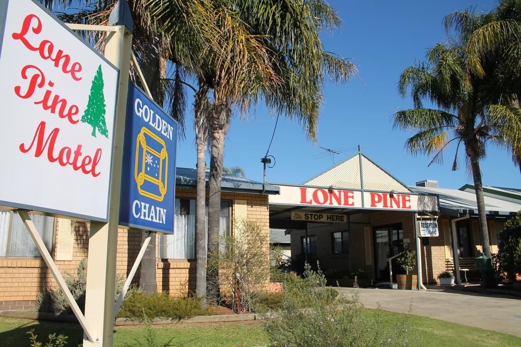 Lone Pine Motel Corowa Esterno foto
