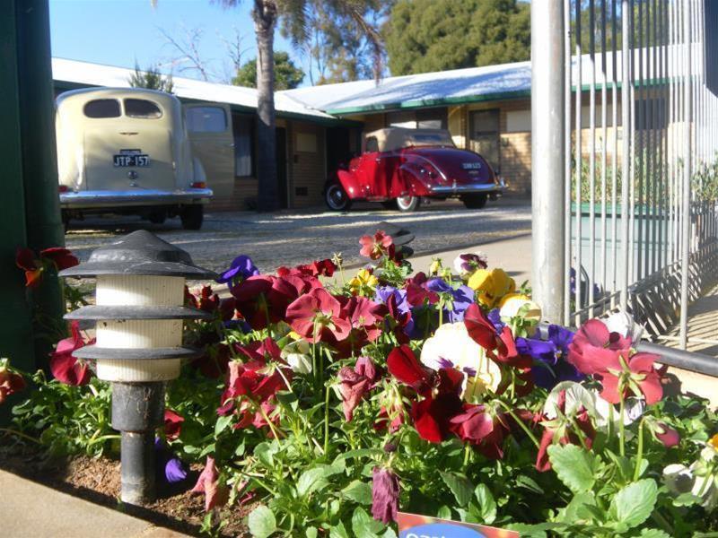 Lone Pine Motel Corowa Esterno foto
