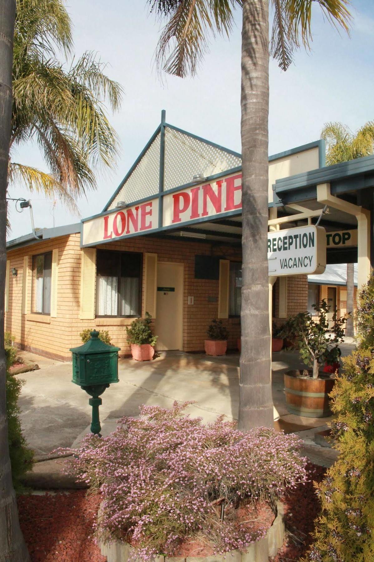 Lone Pine Motel Corowa Esterno foto